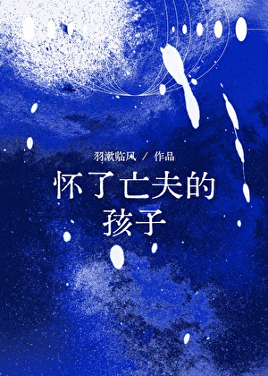 怀了亡夫的孩子