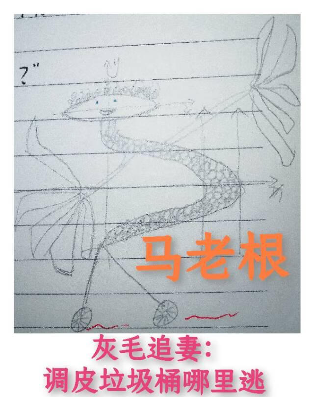 灰毛追妻：调皮垃圾桶哪里逃