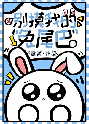 开机甲的小兔叽