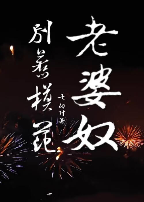 别惹模范老婆奴