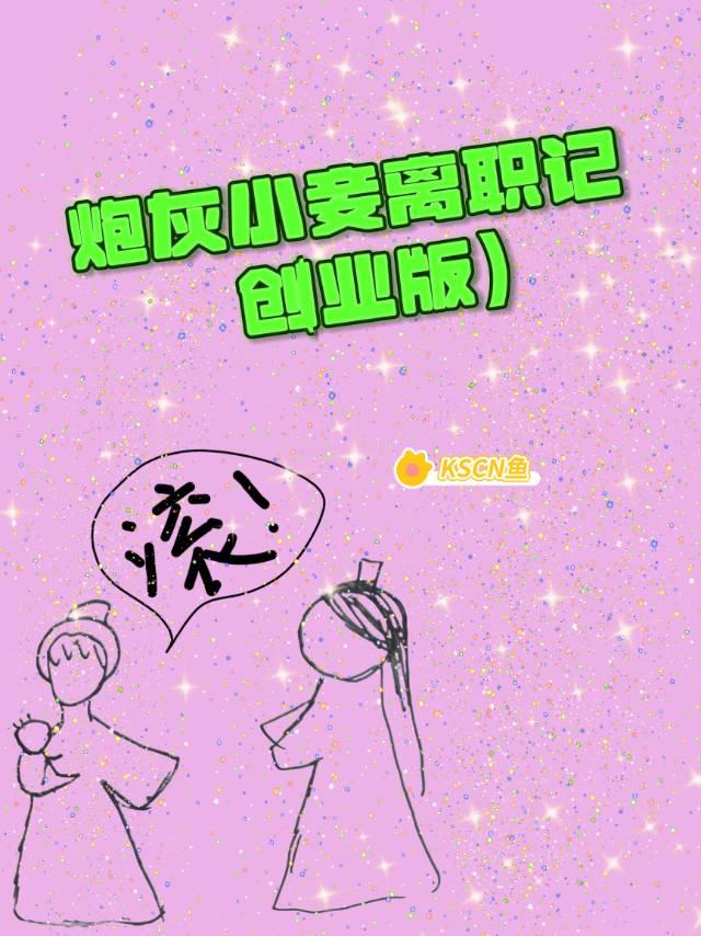 炮灰小妾离职记（创业版）