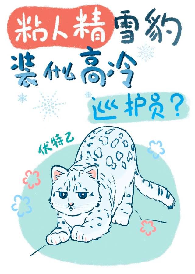 粘人精雪豹装什么高冷巡护员