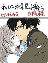 我的娇妻是小霸王小说